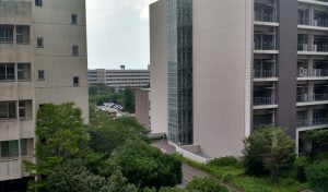 A view of university buildings among trees