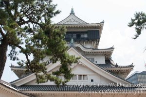 A white, traditional castle. Although it's hard to tell, it's constructed from concrete.