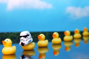 A row of yellow plastic ducks, where the second one is wearing a stormtrooper helmet from Star Wars