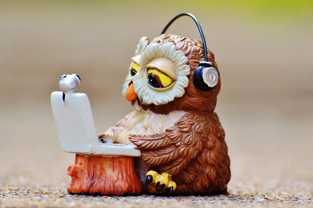 Cute model of an owl, wearing headphones and using a tiny laptop